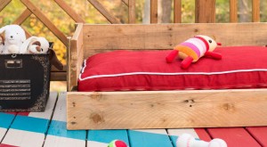 Beyond-Patio-Cushions-Outdoor-Comfort-Ideas-for-Elderly-Dogs